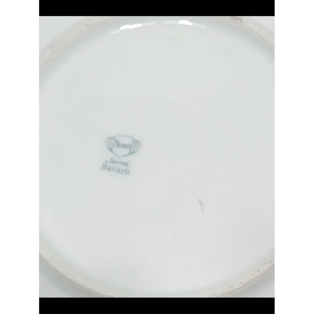 Thomas Sevres Bavaria Porcelain Floral Plate Gold Trim ~8 in Round Decorative